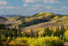 USA, Wyoming. Mountain view fall from Salt River Pass area aspen and maple Art Print